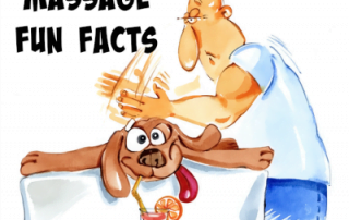 massage fun facts