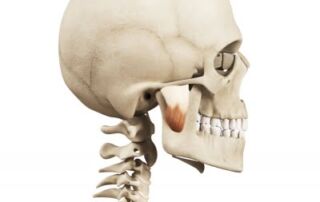 the masseter muscle stop jaw pain