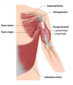 Latissimus Dorsi Strains