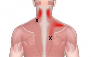 Educational Archives - Body Ache Escape Massage Center