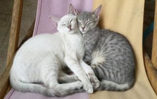 This Crazy Trick Could Boost Your Marital Satisfaction With Hardly Any Effort