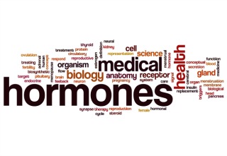 9 Ways to Normalize Your Hormones