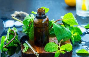 12 Best Natural Remedies To Prevent And Treat Bloating These Holidays, peppermint essential oil is great for gout pain