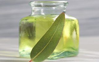 20 Proven Benefits of Eucalyptus for Lungs Health