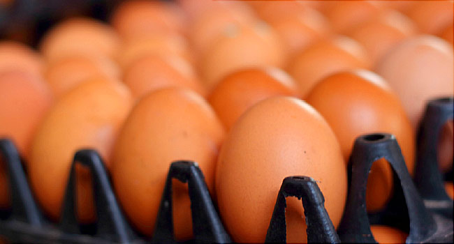 Egg yolks contain choline which is a great nutrient for anxiety