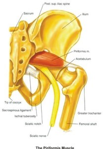 Piriformis Syndrome: A Real Pain In The Butt