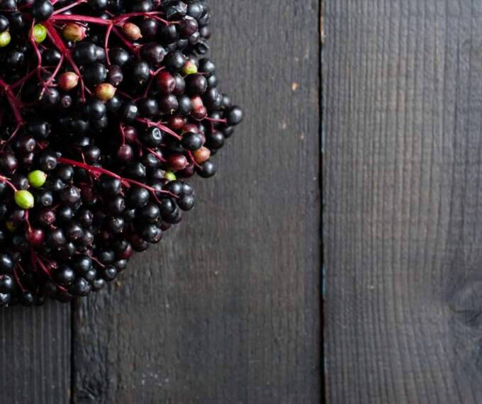 Elderberry Health Benefits & Side Effects The Magical Fruit