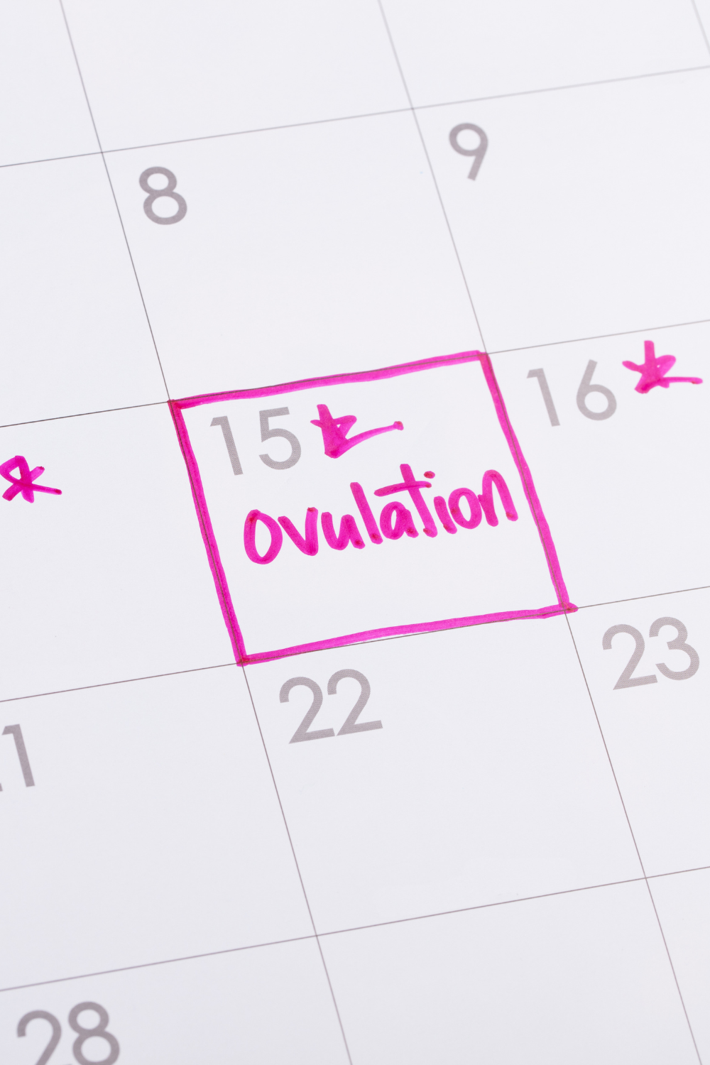 ovulation calendar fertility massage ovulation calendar to check when to get fertility massage in Columbus